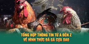 Tổng Hợp Thông Tin Từ A Đến Z Về Hình Thức Đá Gà Cựa Dao